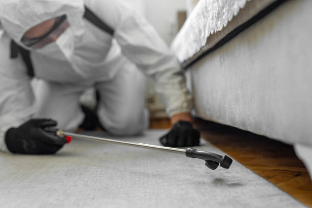 Professional Bed Bug Control technician working in Muenster, TX
