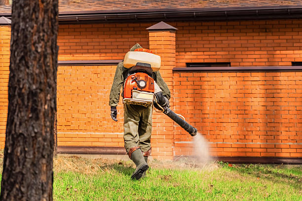 Trusted Termite Control service in Muenster, TX - Nex Pest Control